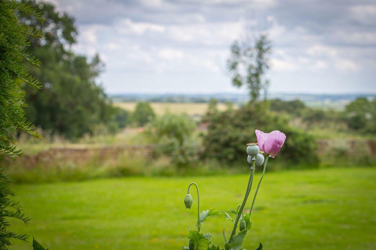 Scalford Country House Hotel Мелтън Моубрей Екстериор снимка